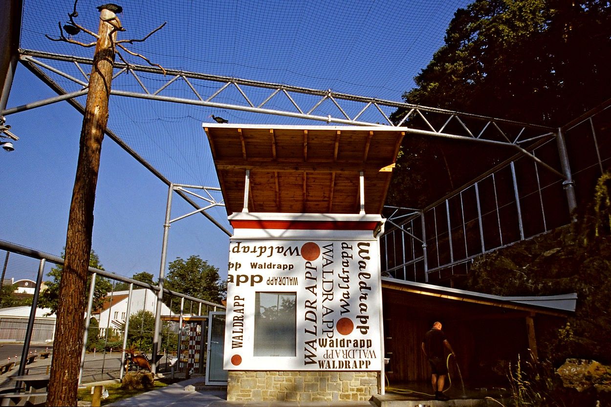 Ein Gehege mit einem Waldrapp-Vogel auf einem Dach und einem Mann, der den Boden wässert.