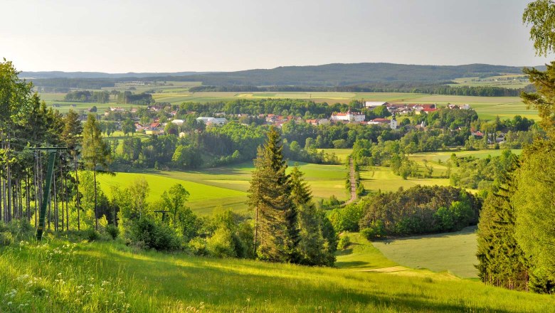 Maiswald Ausblick Artikel