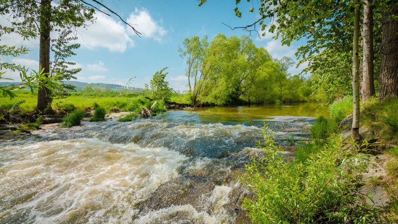 An der Thaya, © Matthias Ledwinka