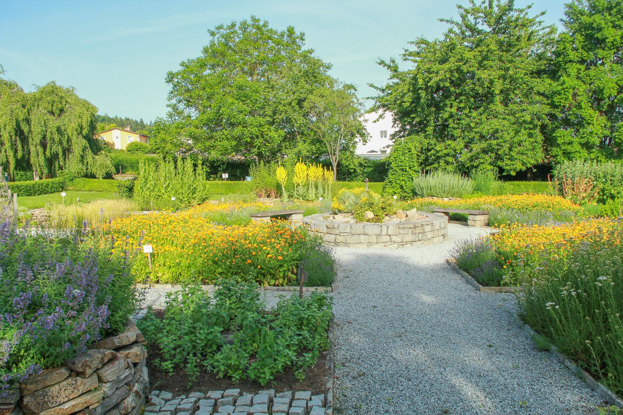 Ein gepflegter Kräutergarten mit blühenden Pflanzen und einem zentralen Steinkreis, umgeben von Bäumen und einem klaren Himmel.