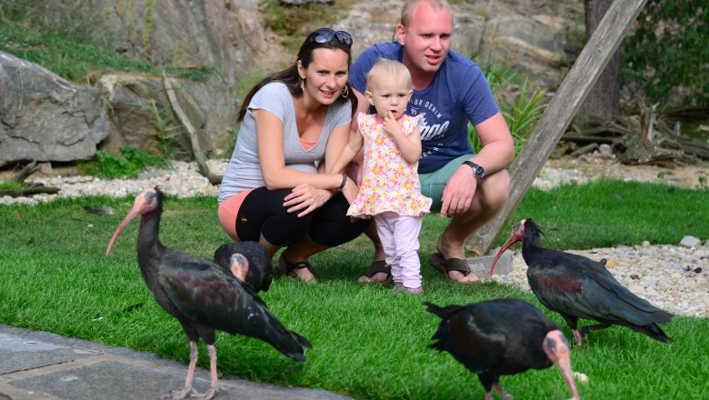 Waldrapp Voliere, &copy; Waldrapp Voliere