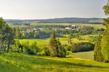 Maiswald Ausblick Artikel