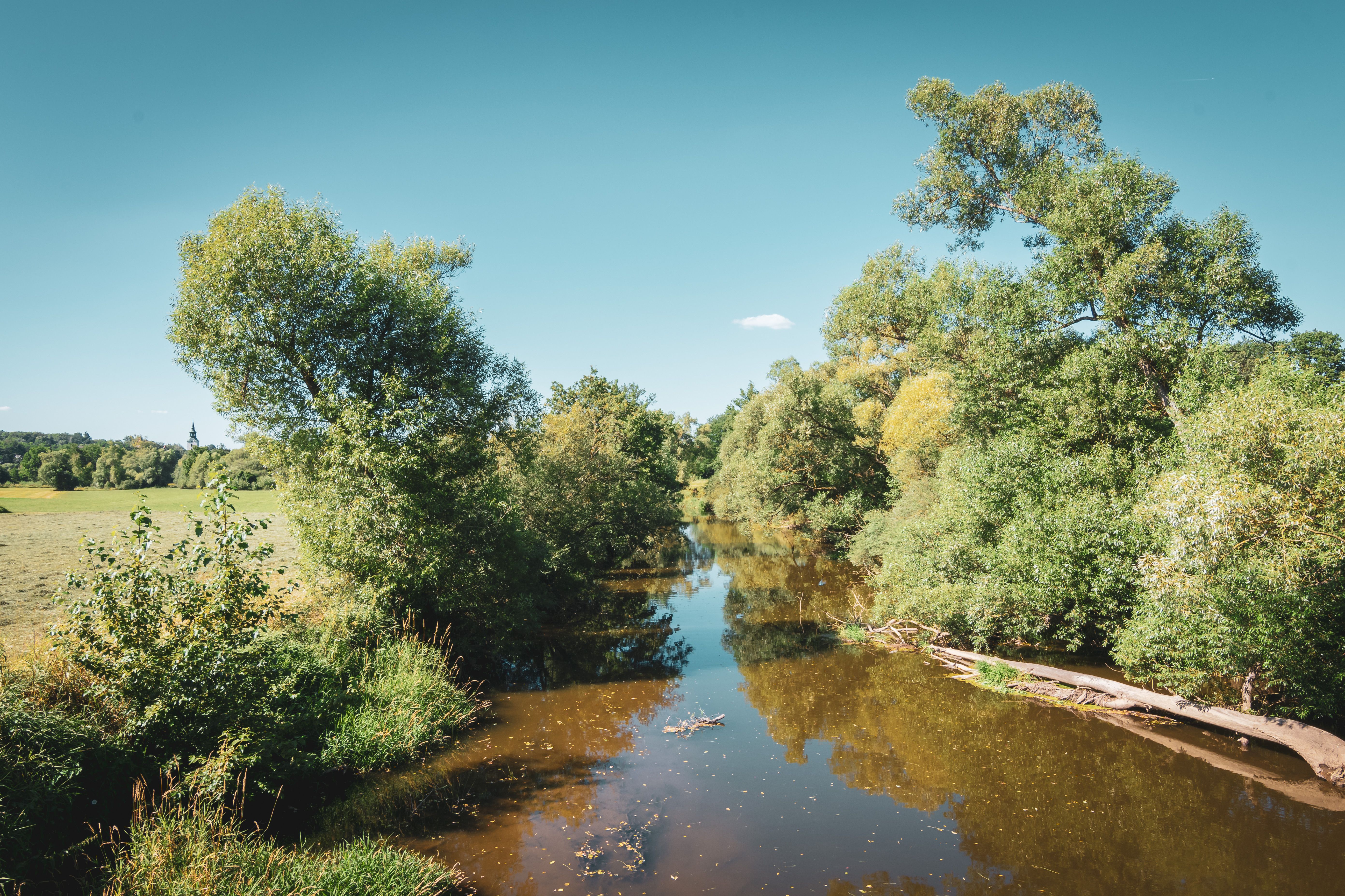 Sommerliche Ansicht des Flusses Thaya