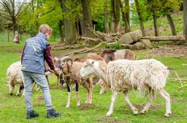 Fütterung im Wildgehege, © Matthias Ledwinka