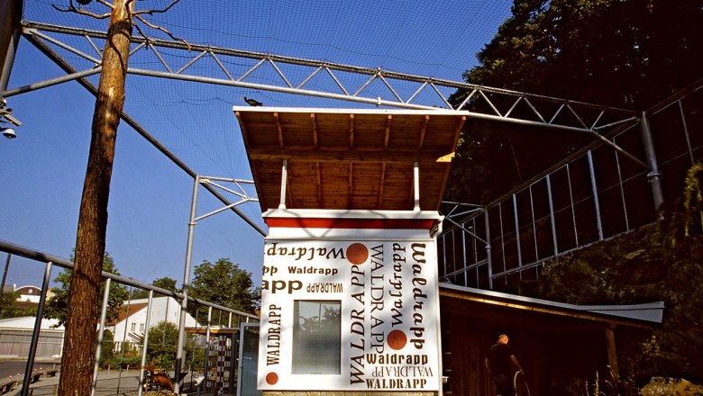 Ein Gehege mit einem Waldrapp-Vogel auf einem Dach und einem Mann, der den Boden w&auml;ssert.